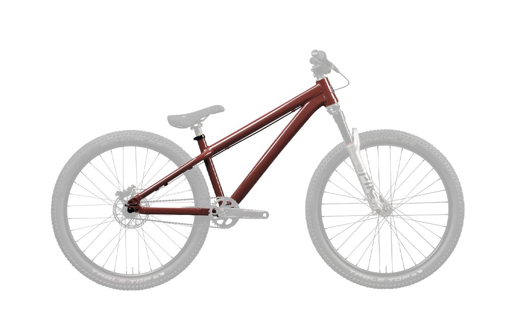 santa cruz jackal large