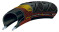 Continental Grand Prix 4 Seasons Tyre 25