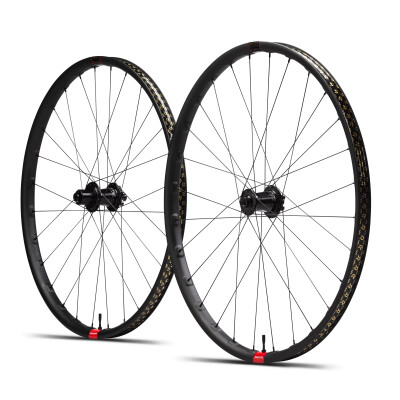 Santa Cruz Reserve 30 Wheelset