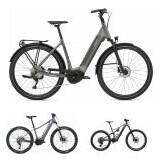 Electric Bikes