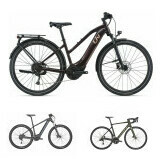 Electric Bikes