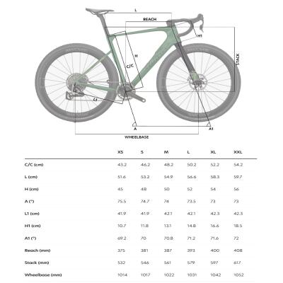 Wilier Rave Slr Id2 Grx Di2 1X12 Graff