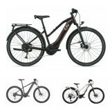 Electric Bikes