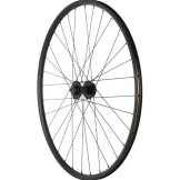 29Er