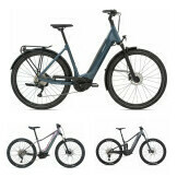 Electric Bikes
