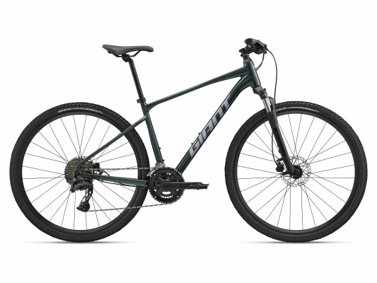 Giant Roam 2