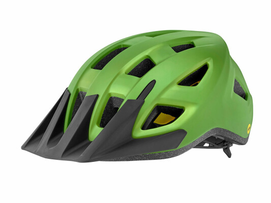 Giant Path Arx Mips Kids Helmet