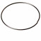 Dt Swiss 21.4 Mm Retainer Spring For 3 - Pawl Freehubs Black