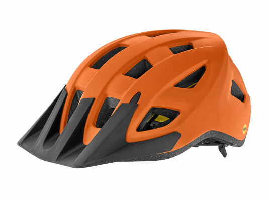 Giant Path Arx Mips Kids Helmet