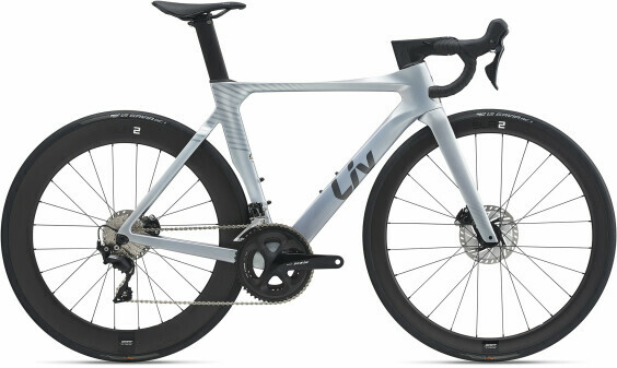 Liv Enviliv Advanced Pro 2 Disc 21