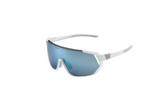 Liv Agos Glasses Polarvis