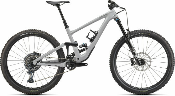 Specialized Enduro Expert 29 2022