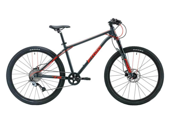 Frog 72 Kids Mountain Bike