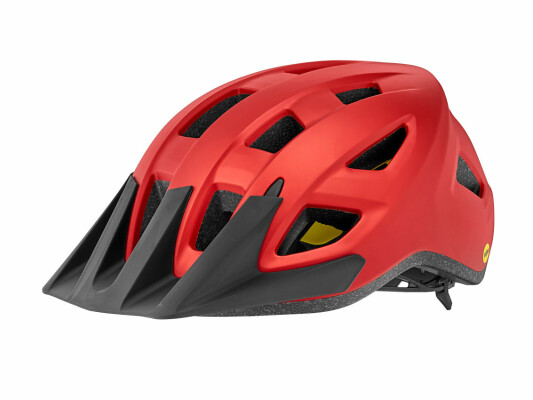 Giant Path Arx Mips Kids Helmet