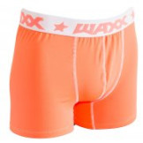Boxer