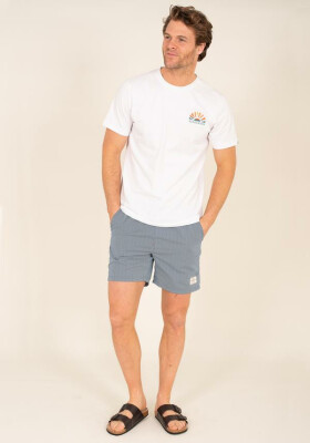 Brakeburn Shorts Stripe Board
