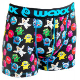 Boxer