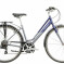 Raleigh Pioneer Tour Low Step Frame Blue/Silver 700/15 Silver/Blue