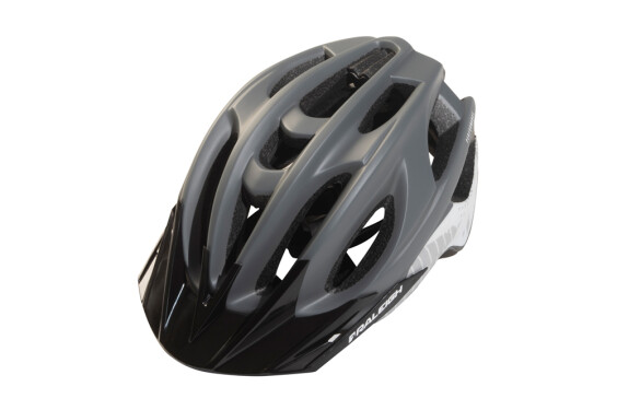 Raleigh Performance Helmet