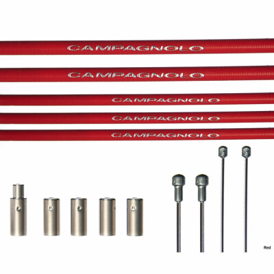 Campagnolo Ultra & Power Shift