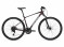 Giant Roam 2 Disc SM 2X9SPD Charcoal Plum/Silver