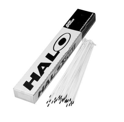 Halo Plain Gauge Ss