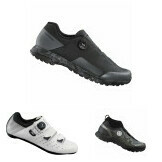Shoe Mens