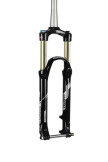 29Er