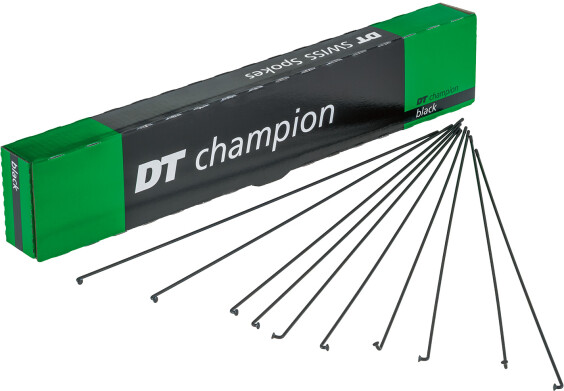 Dt Swiss Champion