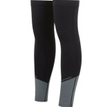 Leg