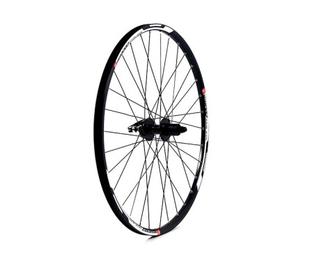 D2O Cassette Double Wall 6B