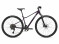 Liv Rove 1 Disc XS 11SPD Tyrian Purple