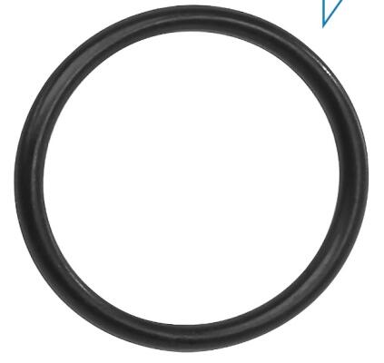 Bosch O-Ring