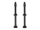 Giant Valve Stem PAIR 42 & 55Mm Rim P