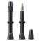 Ritchey Valve Stem 45MM PAIR