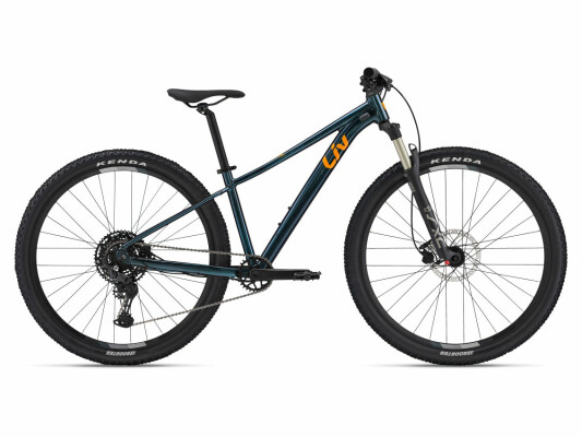 Liv Tempt 1 29Er