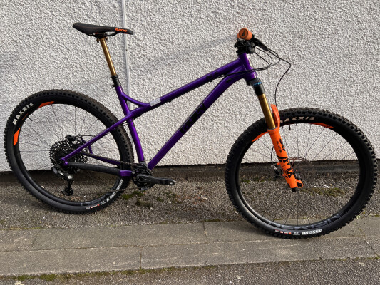 Ragley Big Al 160 29Er Custom